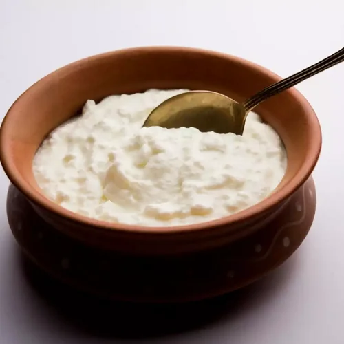 Plain Dahi